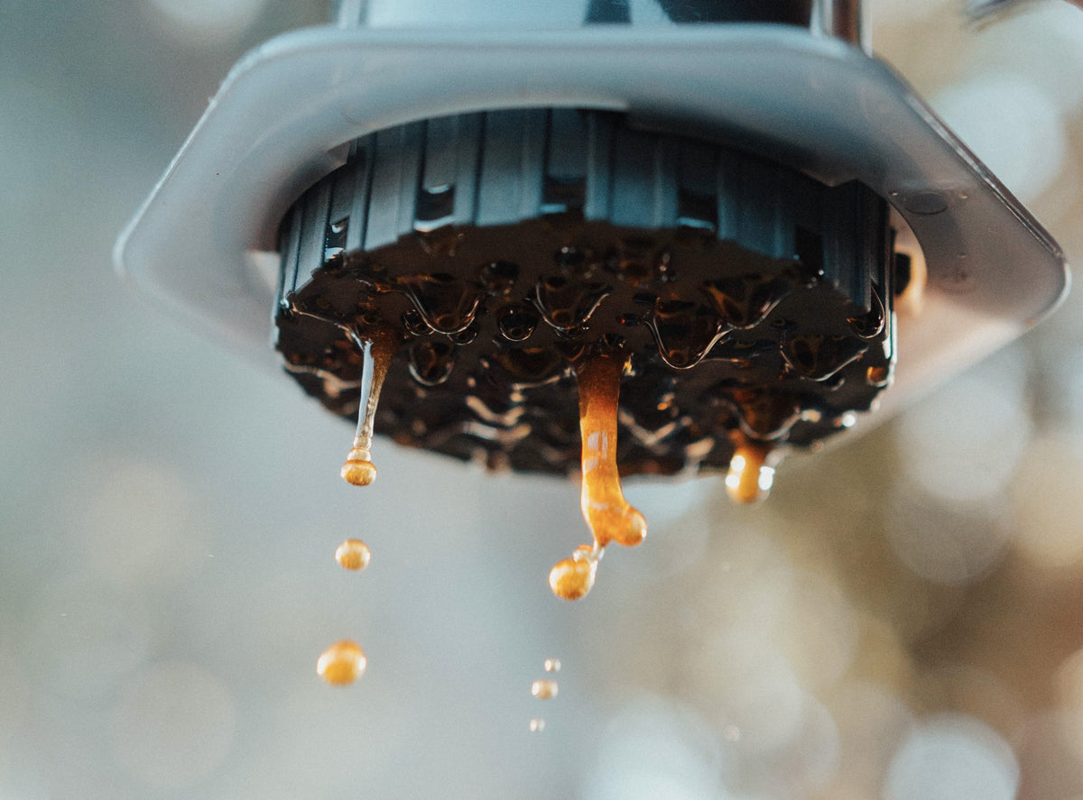 Close-up of a coffee filter with coffee dripping through.