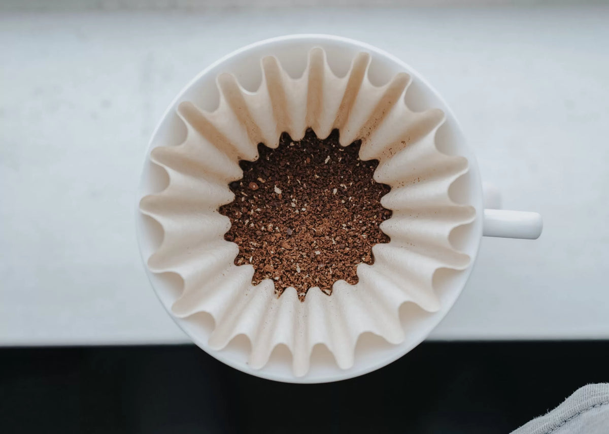 Coffee filter with ground coffee on a white background