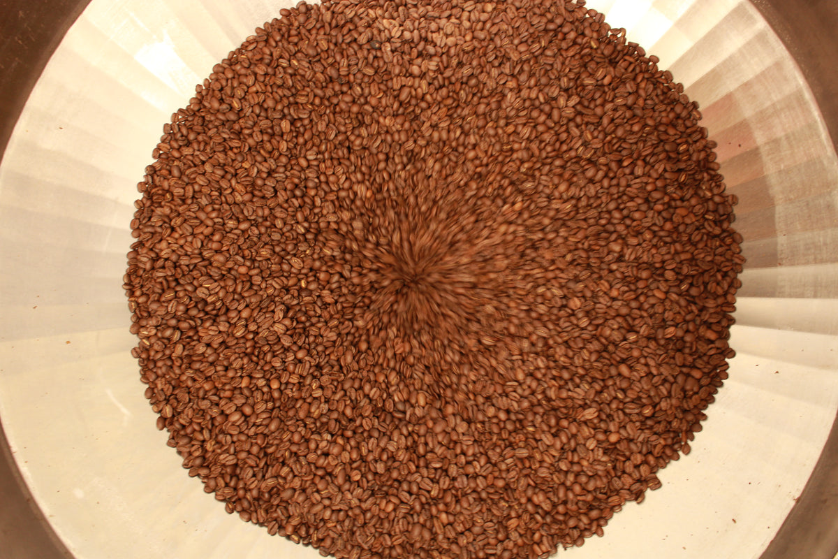 A top-down view of roasted coffee beans piled in a circular shape inside a white conical coffee dripper.