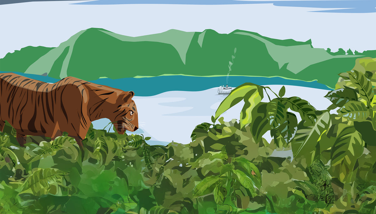 Tiger in a lush green forest with mountains and water in the background