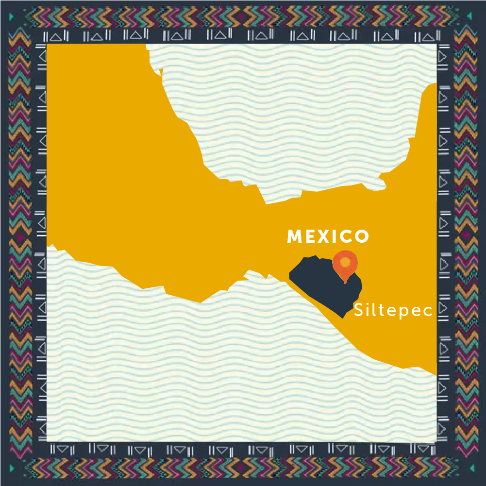 Mexico Siltepec el Jaguar Reads Coffee